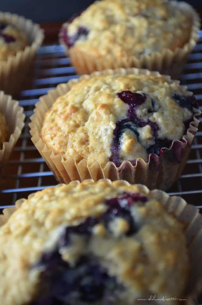 Healthy Blueberry Oat Muffins - She loves biscotti