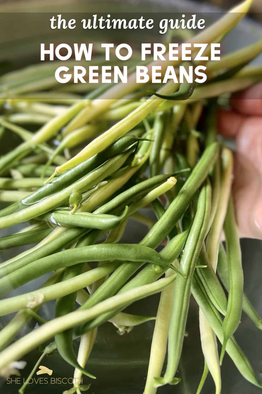 How to Freeze Green Beans: A Simple Guide to Freezing Beans - She Loves ...
