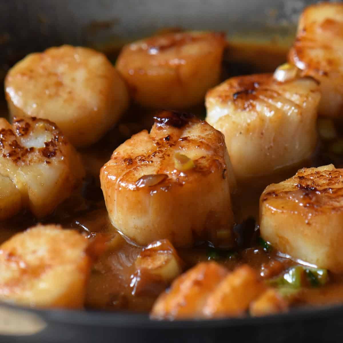 seared scallops recipe